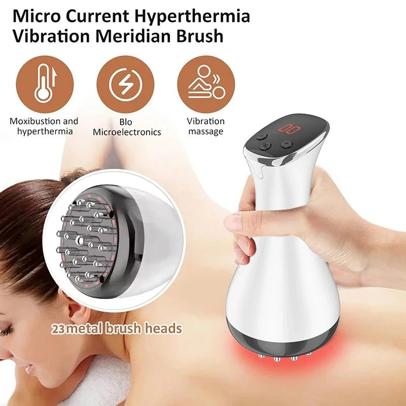 Meridian Brush Body Massager